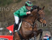 Govoni Winn Winn TosTour 2013- S4 6478 : Arezzo Equestrian Centre, Govoni Gianni, Toscana Tour 2013, Winn Winn, foto di Stefano Secchi ©